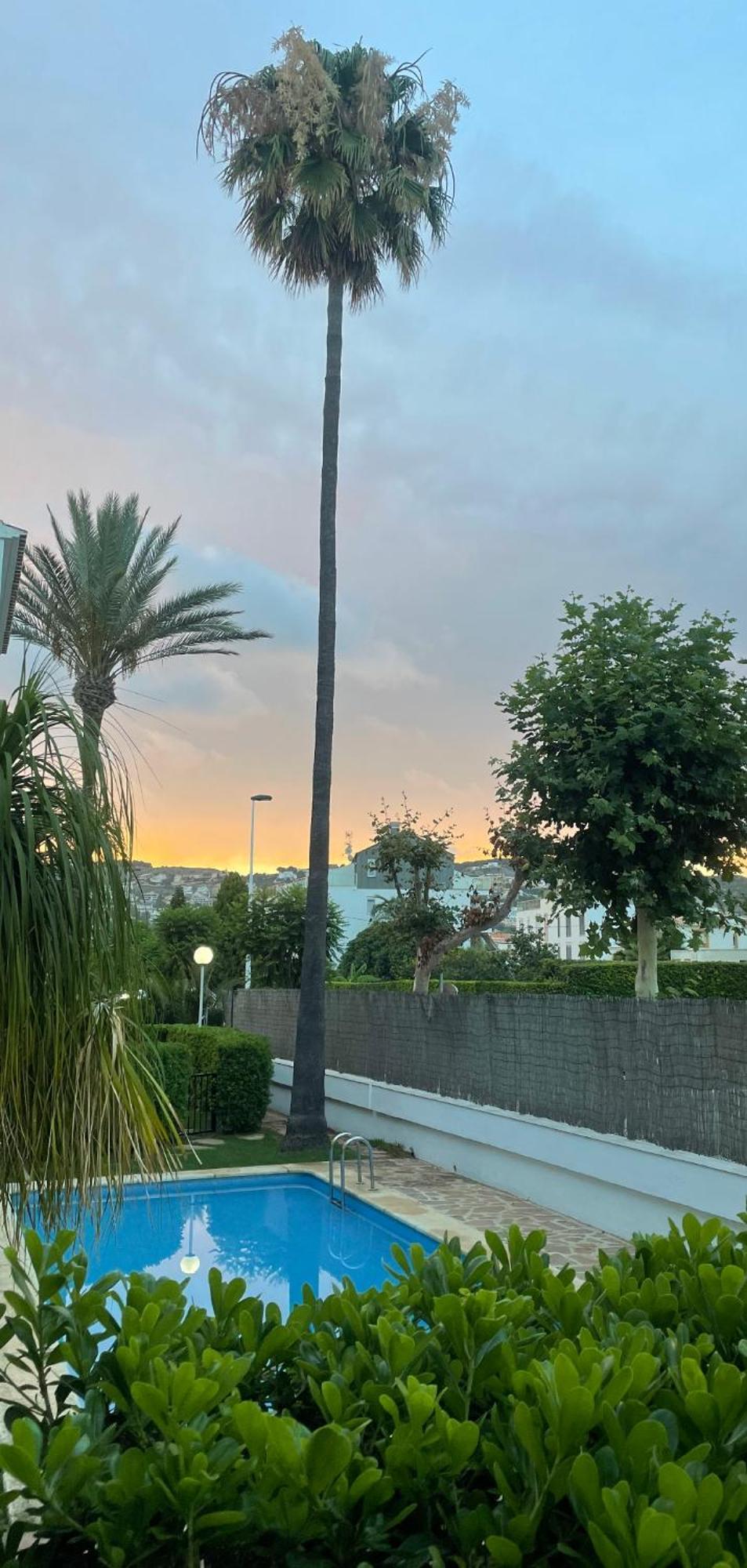 Apartmán Casa Ole Jávea Exteriér fotografie